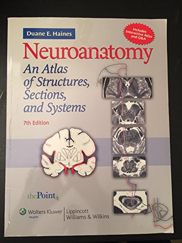 Neuroanatomy