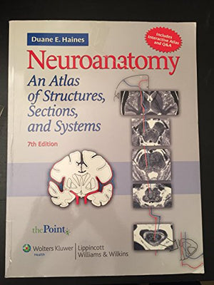 Neuroanatomy
