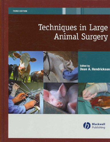 Techniques in Large Animal Surgery