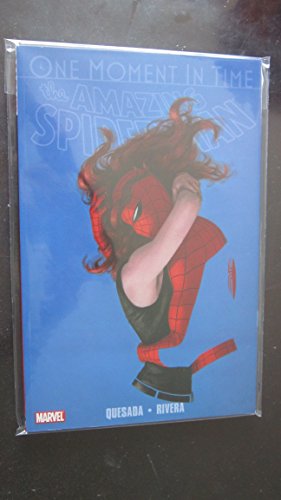 SpiderMan: One Moment in Time