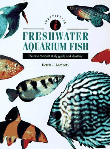 Identifying Fresh Water Aquarium Fish