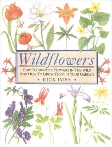 Wildflowers