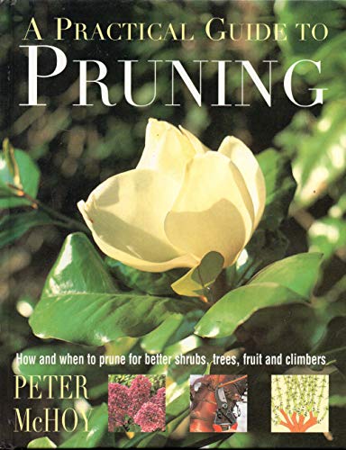 A Practical Guide to Pruning
