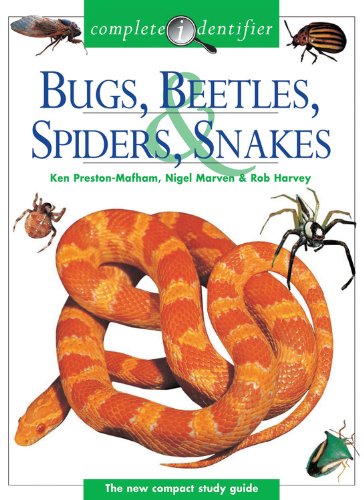 Bugs, Beetles, Spiders, & Snakes