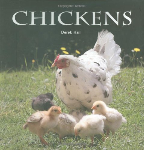 Chickens