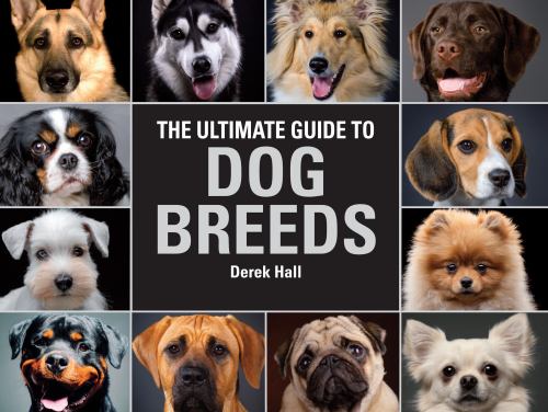 The Ultimate Guide To Dog Breeds