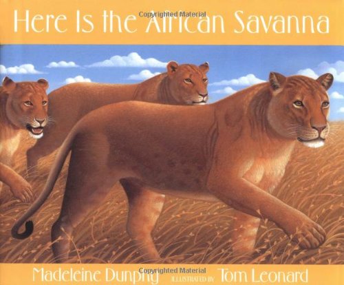 Here Is the African Savanna