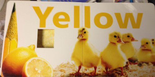 Baby Einstein: Windows to Color