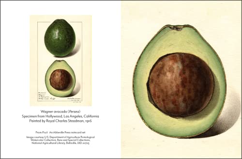 Fruit