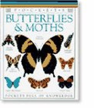 Butterflies and Moths