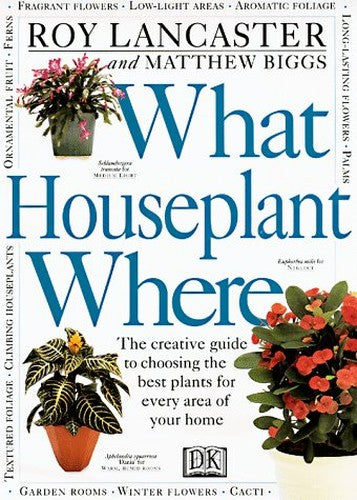 What Houseplant Where