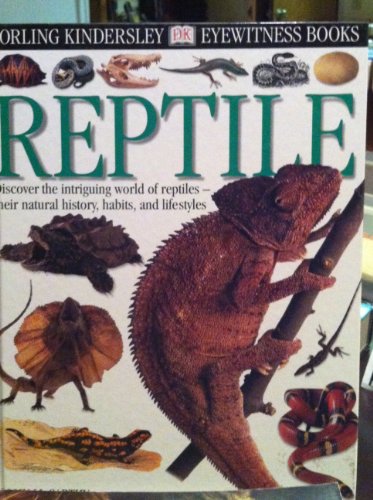 Reptile