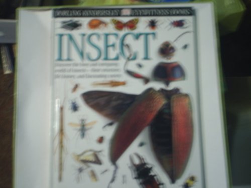 Insect