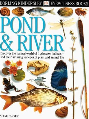 Pond and River