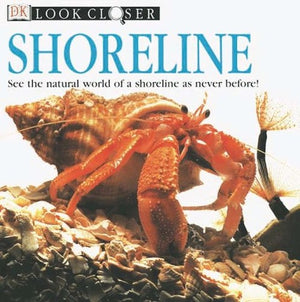 Shoreline