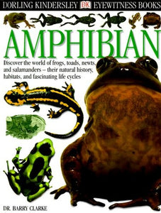 Amphibian 