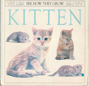 Kitten