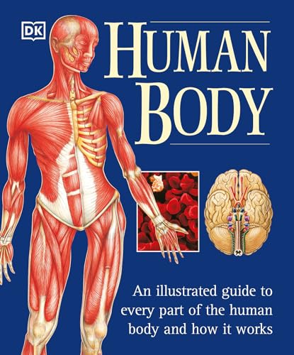 The Human Body