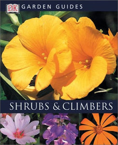 Shrubs and Climbers 