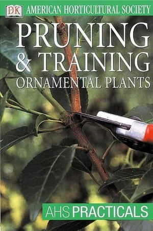 Pruning & Training