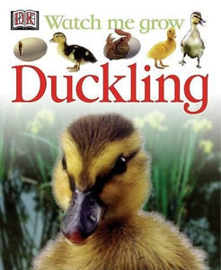 Duckling 