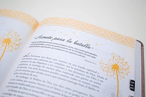 Biblia Para Mujeres Reina Valera 1960 - de Promesas Inspira Letra Gigante (13 Pts) Piel Especial Rosa Dorado Spanish Promise Bible
