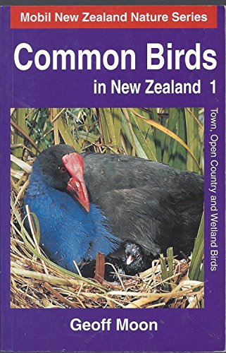 Common Birds in New Zealand