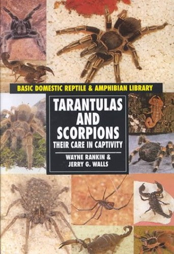 Tarantulas & Scorpions (Reptiles) (Oop)