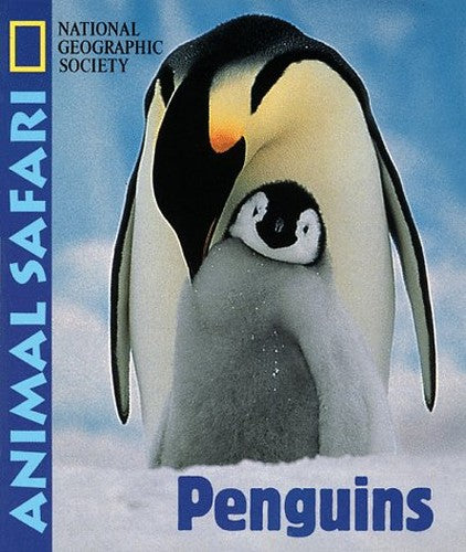 Animal Safari