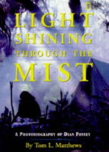 Light Shining Through the Mist