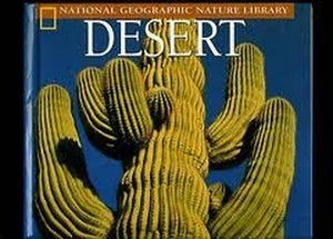 Desert 