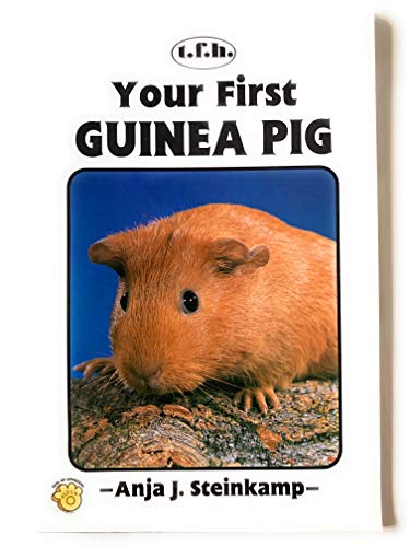 Your First Guinea Pig