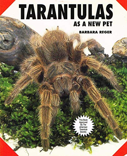 Tarantulas as a New Pet
