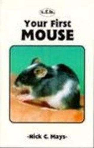 Mouse Your First