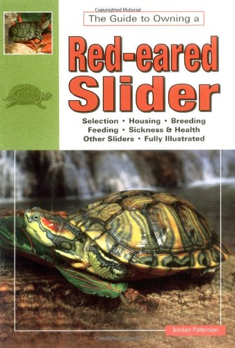 Red-eared Slider Turtles