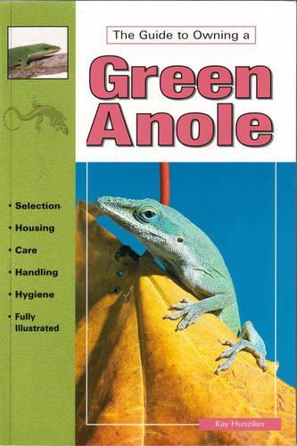Green Anoles