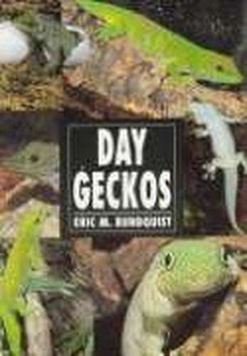 Day Geckos