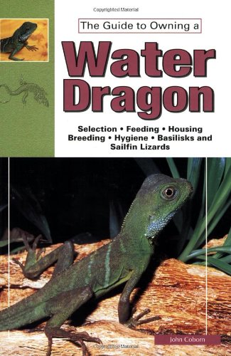 Water Dragons, Sailfin Lizards and Basilisks