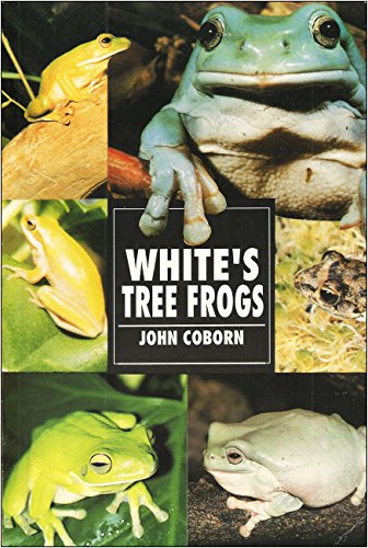 White's Tree Frogs