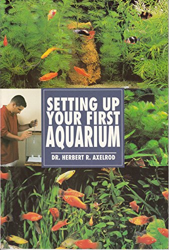 Setting Up Your First Aquarium