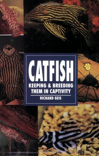 Catfish