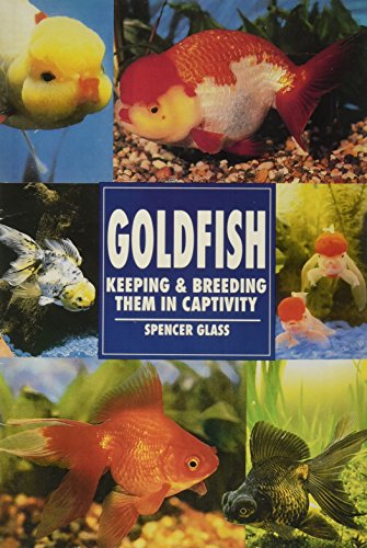 Goldfish