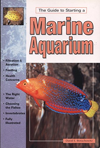 Guide to Starting Your Marine Aquarium