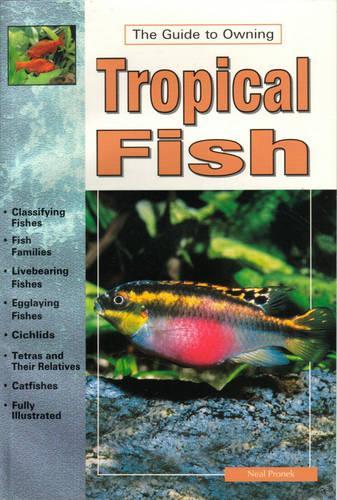 Tropical Fish