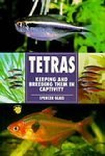 Tetras