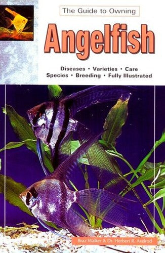Angel Fish