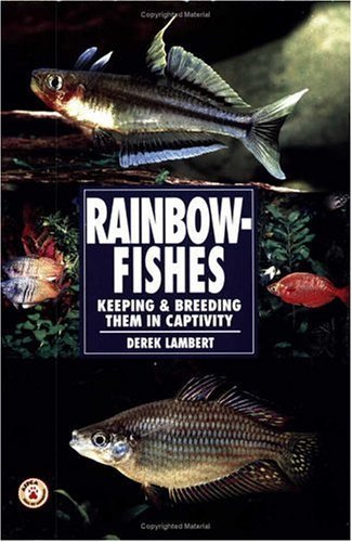 Rainbow Fishes