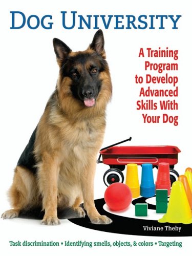 Dog University