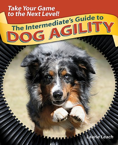 The Intermediates Guide to Dog Agility