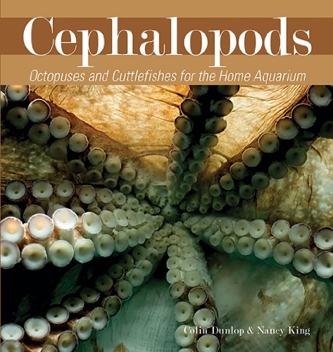 Cephalopods